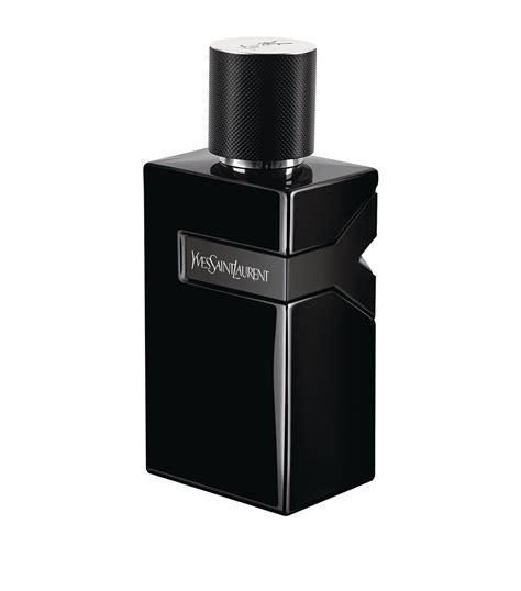 ysl parfum le parfum|ysl y le parfum fragrantica.